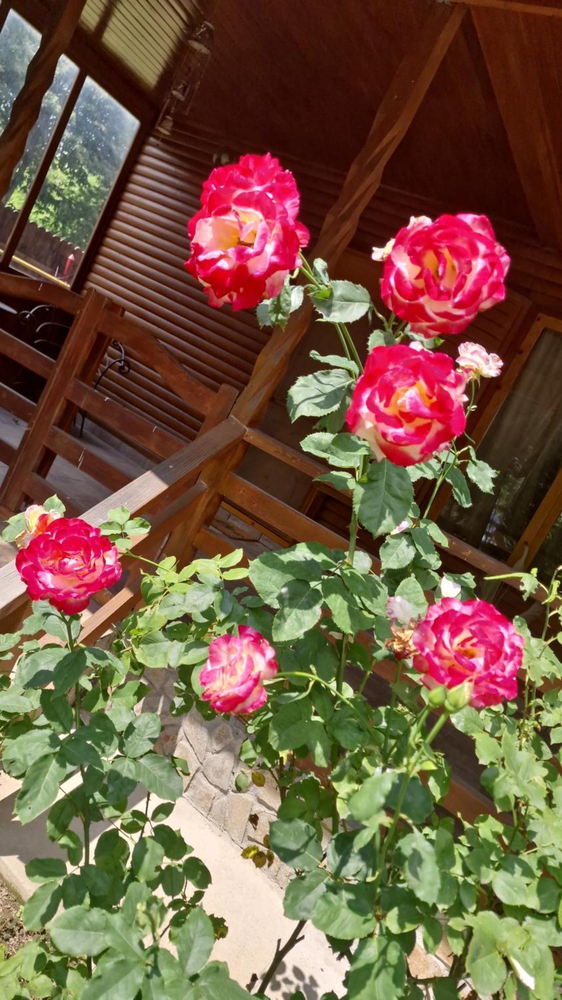Casa De Vacanta คาชิวลาตา ภายนอก รูปภาพ